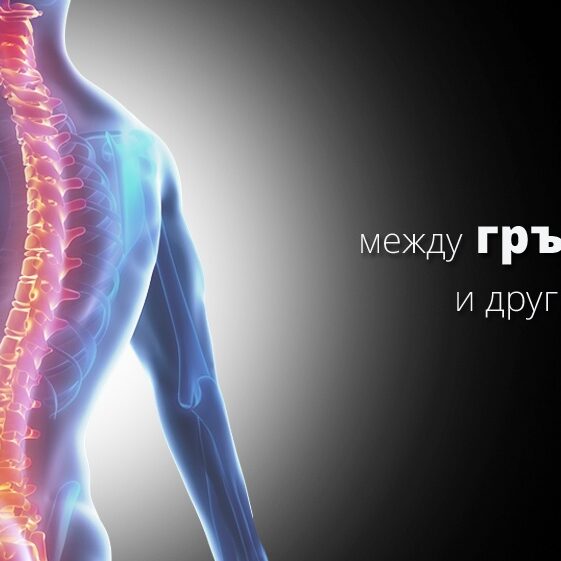 Връзка между гръбначния стълб и другите части на тялото