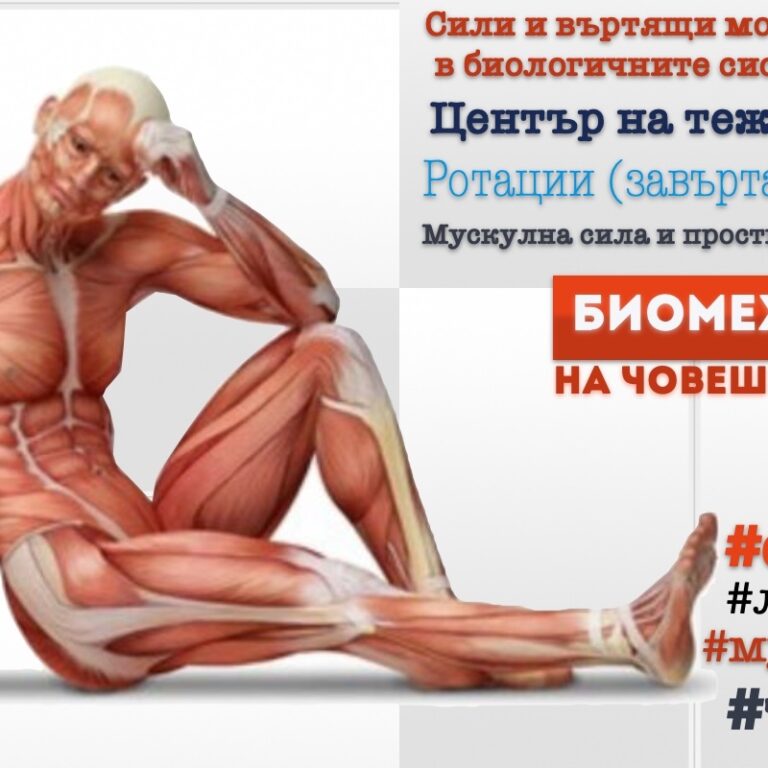 Биомеханика на човешкото тяло