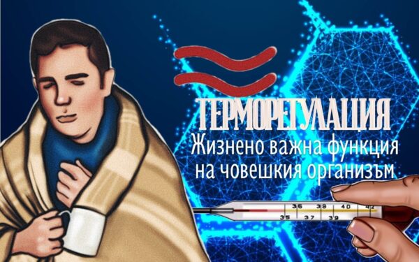 Терморегулация - Жизнено важна функция на човешкия организъм.