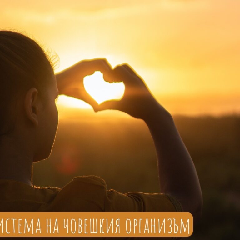 Имунната система - армия в човешкия организъм